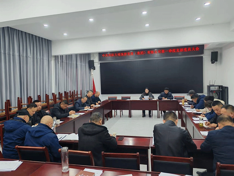 凤阳大明旅游集团党支部召开会议传达部署中央八项规定精神专题学习教育