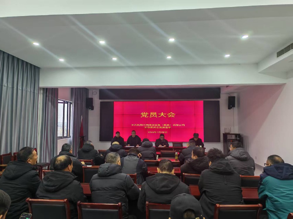 中共凤阳大明旅游发展（集团）有限公司支部委员会换届选举大会